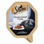 SHEBA PATE'SALSA TROTA/VER.g85